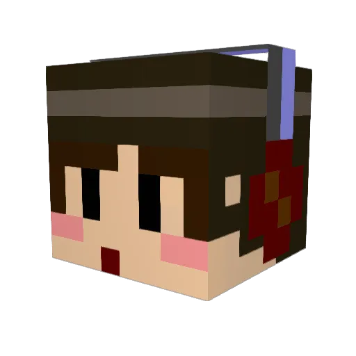 Binu777 Minecraft avatar head, 3D render