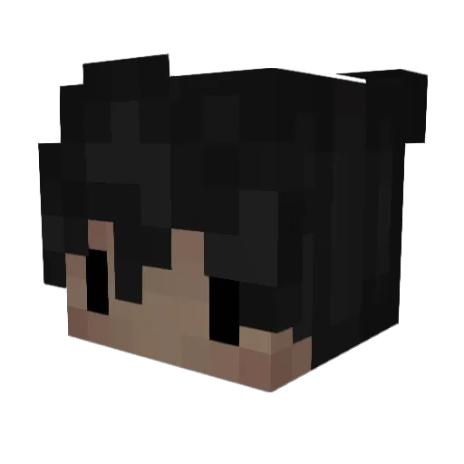 Binui Minecraft avatar head, 3D render