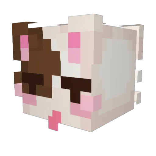 Binx_20 Minecraft avatar head, 3D render