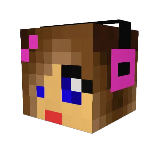Binxs88 Minecraft avatar head, 3D render