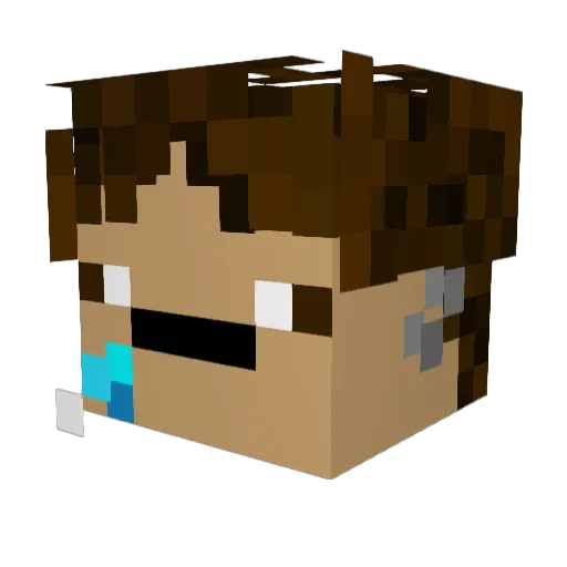 BinxyBear Minecraft avatar head, 3D render