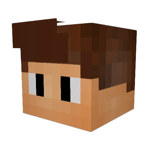 Bio200 Minecraft avatar head, 3D render