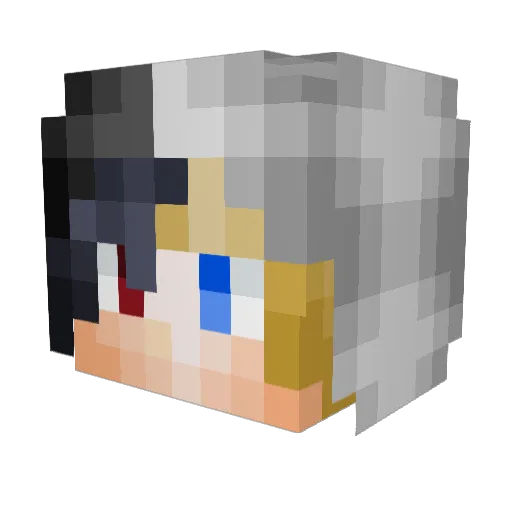 Bio2Burn Minecraft avatar head, 3D render