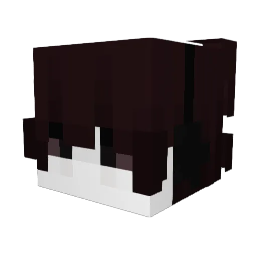 Bio77 Minecraft avatar head, 3D render