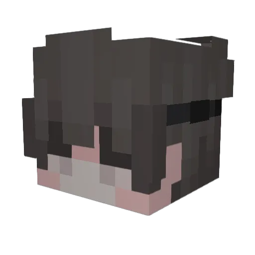 BioMastic_ Minecraft avatar head, 3D render