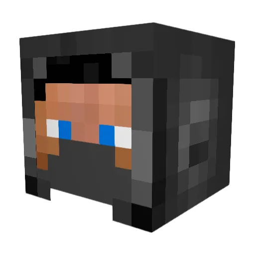 BioMax23 Minecraft avatar head, 3D render