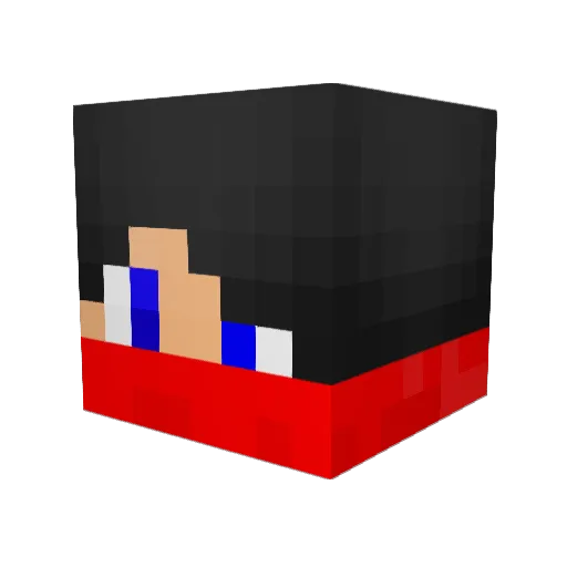 BioSector Minecraft avatar head, 3D render