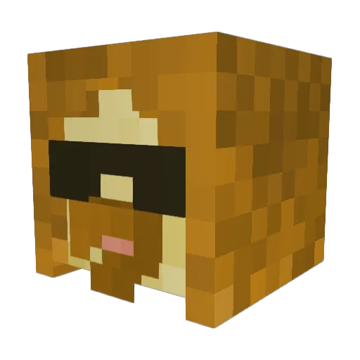 BioTek_ Minecraft avatar head, 3D render