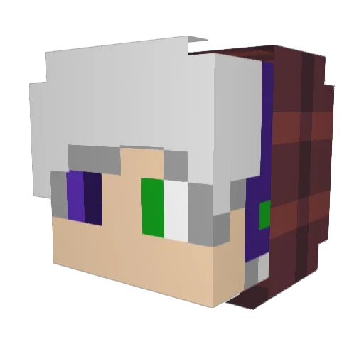 BioUSE Minecraft avatar head, 3D render