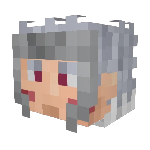Biocriptos Minecraft avatar head, 3D render