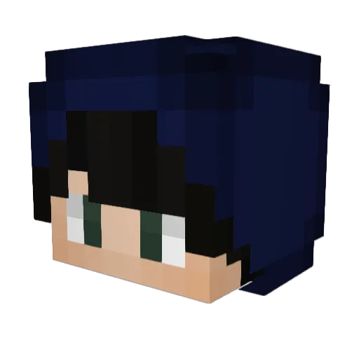 Biodell Minecraft avatar head, 3D render