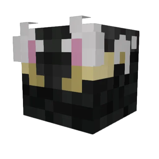 Biogamer47 Minecraft avatar head, 3D render