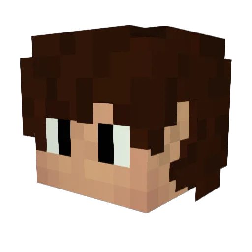BiogasWallen Minecraft avatar head, 3D render