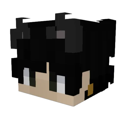 Biohazard75 Minecraft avatar head, 3D render