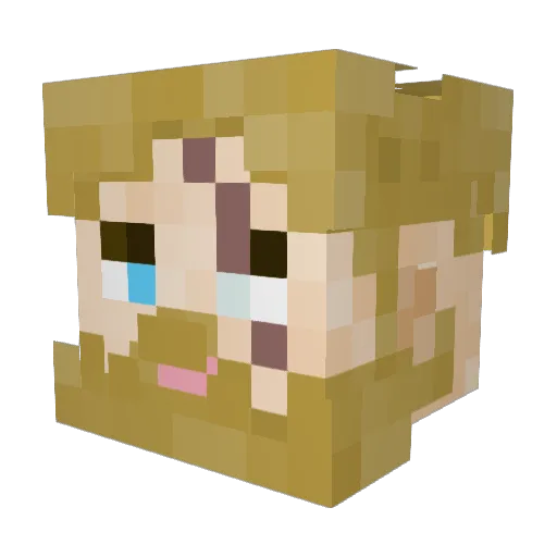 Biokill13 Minecraft avatar head, 3D render