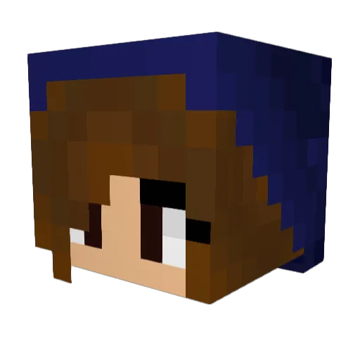 Biokyu Minecraft avatar head, 3D render