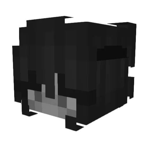 BiologyTeacher Minecraft avatar head, 3D render