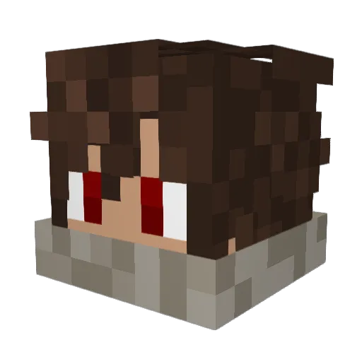 Bioman201 Minecraft avatar head, 3D render