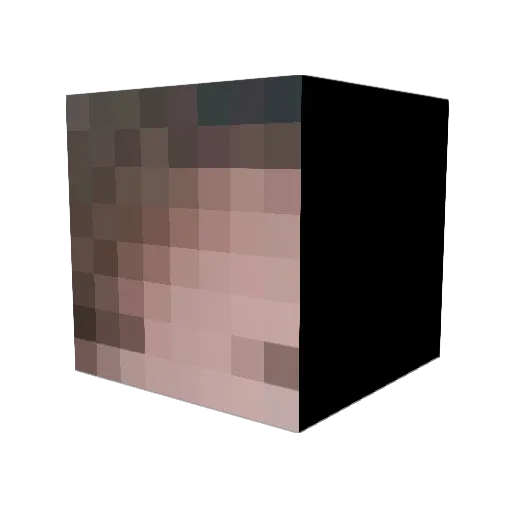 BionicXP Minecraft avatar head, 3D render