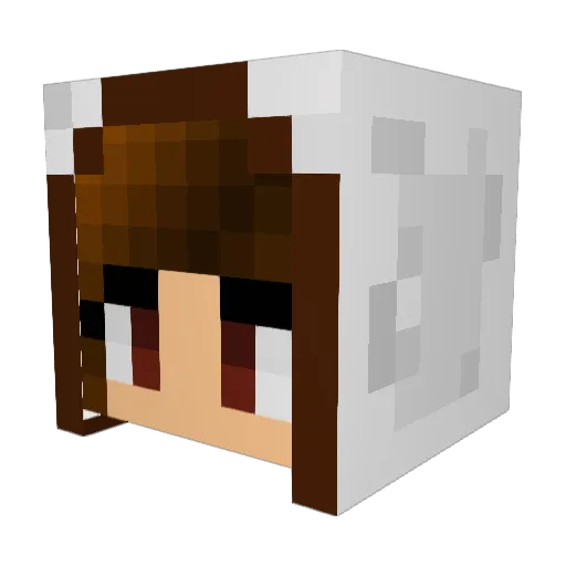 Bionicpants246 Minecraft avatar head, 3D render