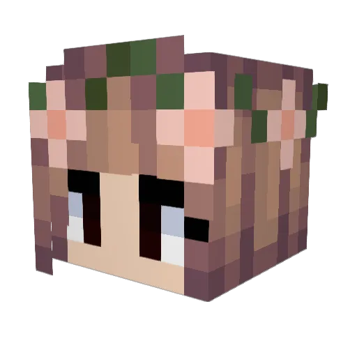 Bioship863 Minecraft avatar head, 3D render