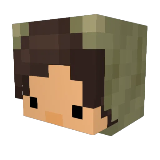 Biotoxins Minecraft avatar head, 3D render