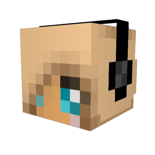 Bioum Minecraft avatar head, 3D render