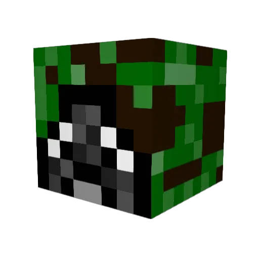 Biozombie98 Minecraft avatar head, 3D render