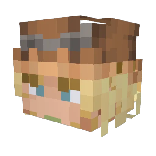 BipNoNip Minecraft avatar head, 3D render