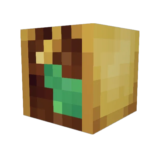 BipedBurrito232 Minecraft avatar head, 3D render