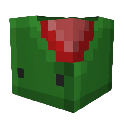 BipolarCan Minecraft avatar head, 3D render