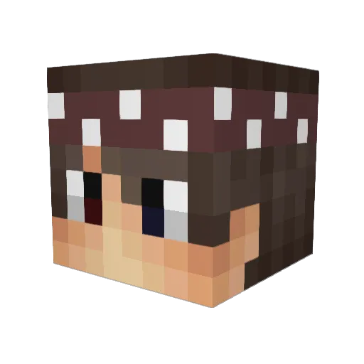 BipolarTruth Minecraft avatar head, 3D render