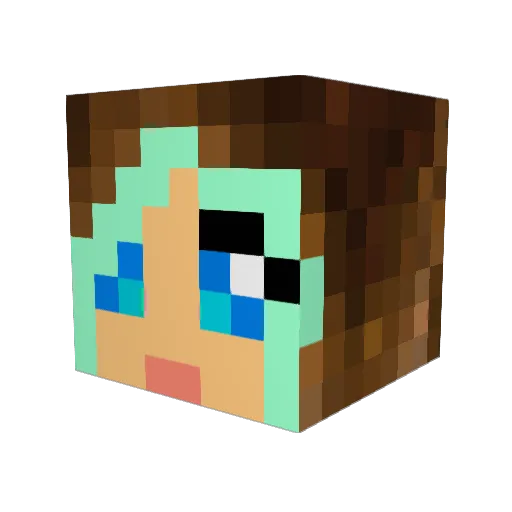 Bir456 Minecraft avatar head, 3D render