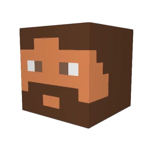 Birang Minecraft avatar head, 3D render