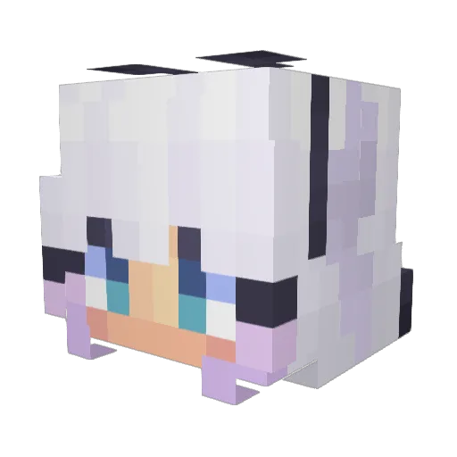 Birb030 Minecraft avatar head, 3D render