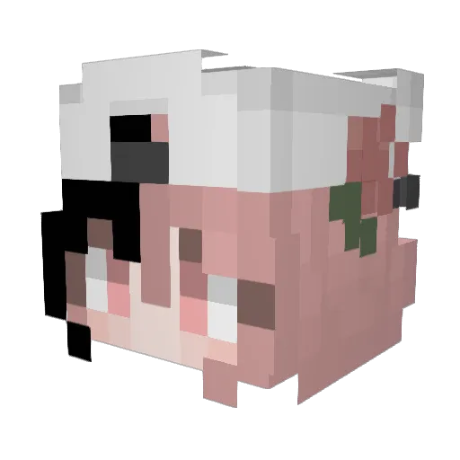 BirbNerd420 Minecraft avatar head, 3D render