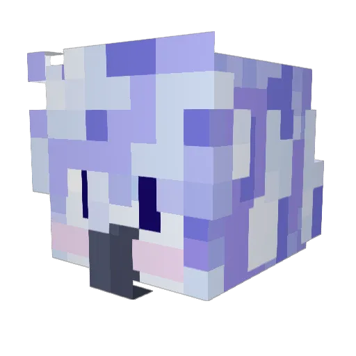 Birbbirbbirb2 Minecraft avatar head, 3D render