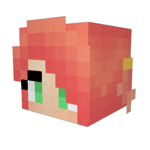 Birbgobrrr Minecraft avatar head, 3D render
