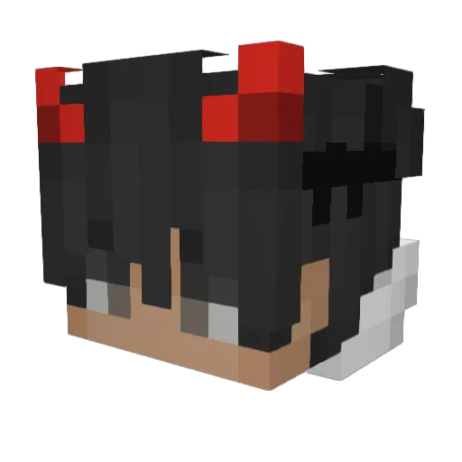 Birbyninja Minecraft avatar head, 3D render