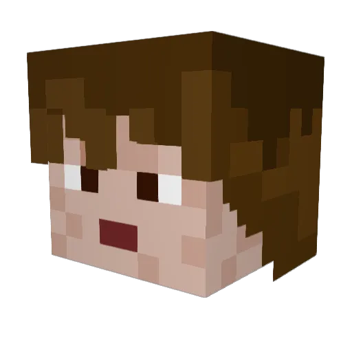 Birch2014 Minecraft avatar head, 3D render