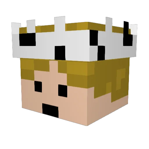 BirchBowo Minecraft avatar head, 3D render