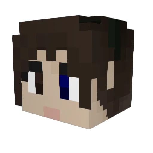 Birche Minecraft avatar head, 3D render