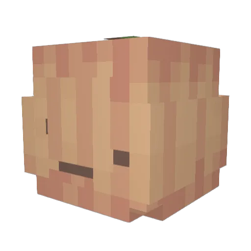 Birchroar Minecraft avatar head, 3D render