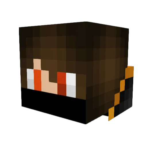 BirchyPoo Minecraft avatar head, 3D render