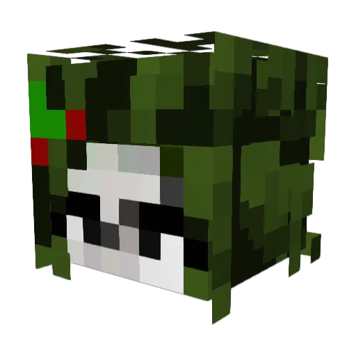Birchythegoob Minecraft avatar head, 3D render