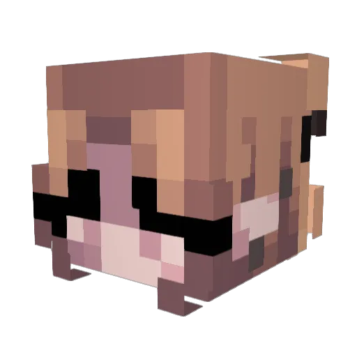 Bird03 Minecraft avatar head, 3D render