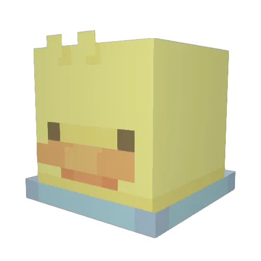 Bird8677 Minecraft avatar head, 3D render