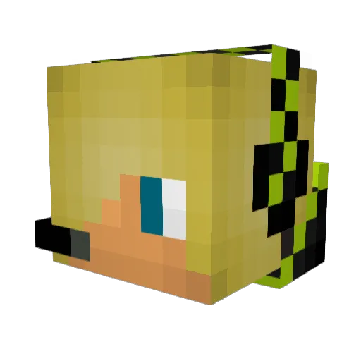 BirdBath Minecraft avatar head, 3D render