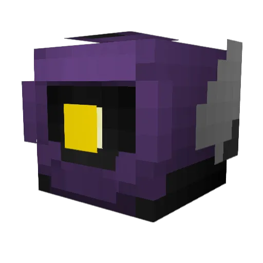 BirdBrain6585 Minecraft avatar head, 3D render
