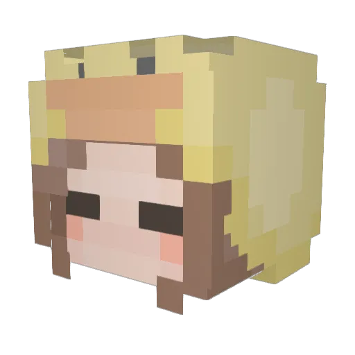 BirdBrain866 Minecraft avatar head, 3D render